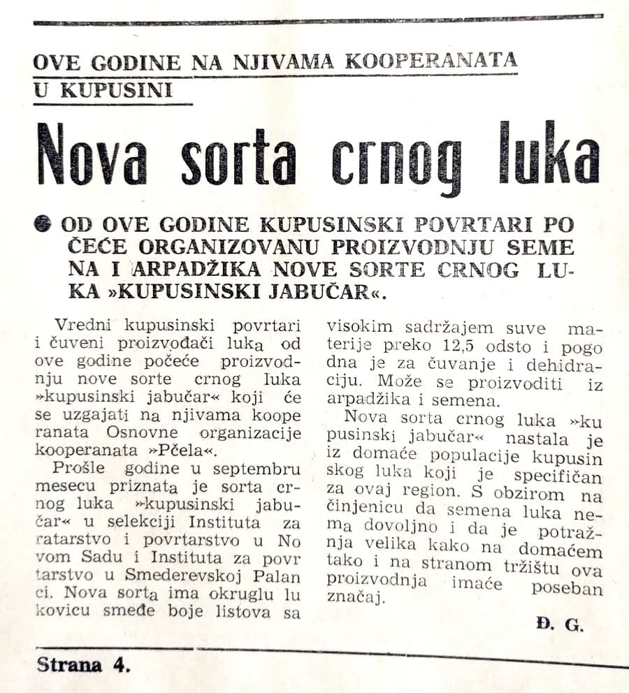 članak o kupusinskom jabučaru - sorti luka