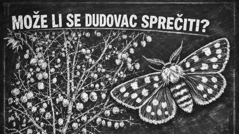 problemi sa insektima