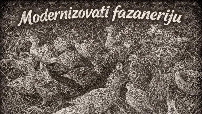 objekat za uzgoj fazana
