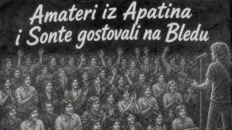 zadovoljna publika posmatra nastup na bini